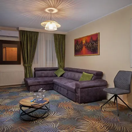Piata Unirii Central Apartments-2
